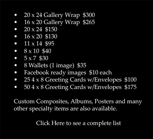 Ala Carte Photography Pricing Photographer