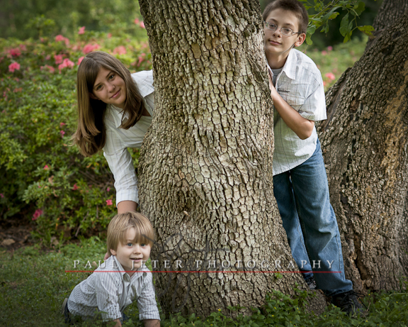 Family Portrait Photography Photographer